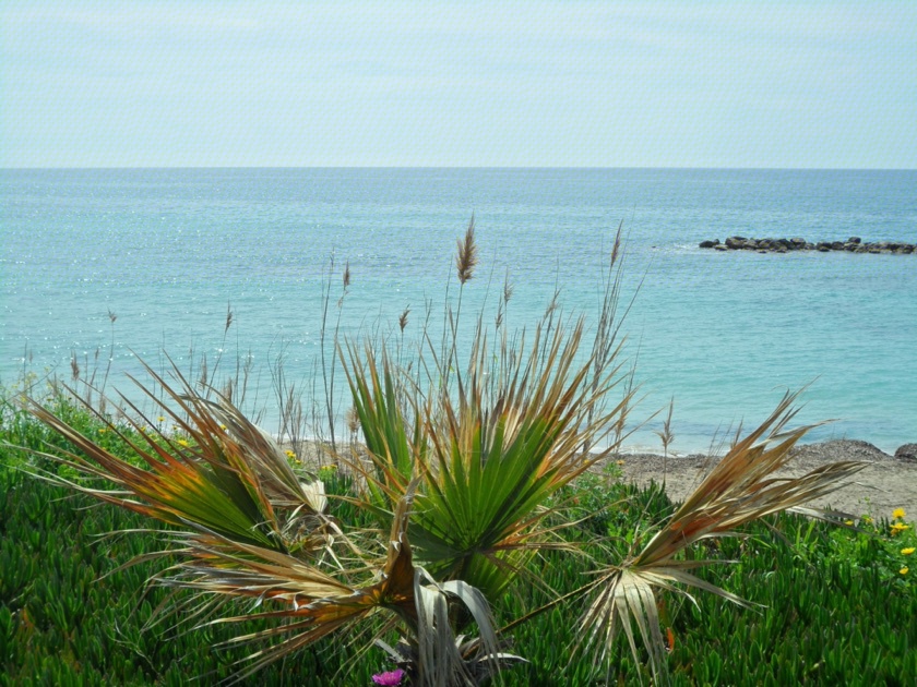 Blick auf das Mittelmer mit Gräsern am Strand 