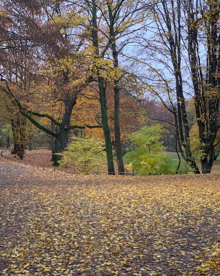 Herbstbild